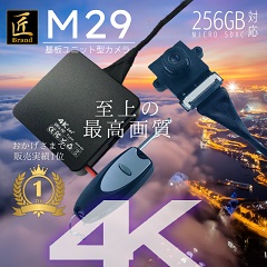 M29